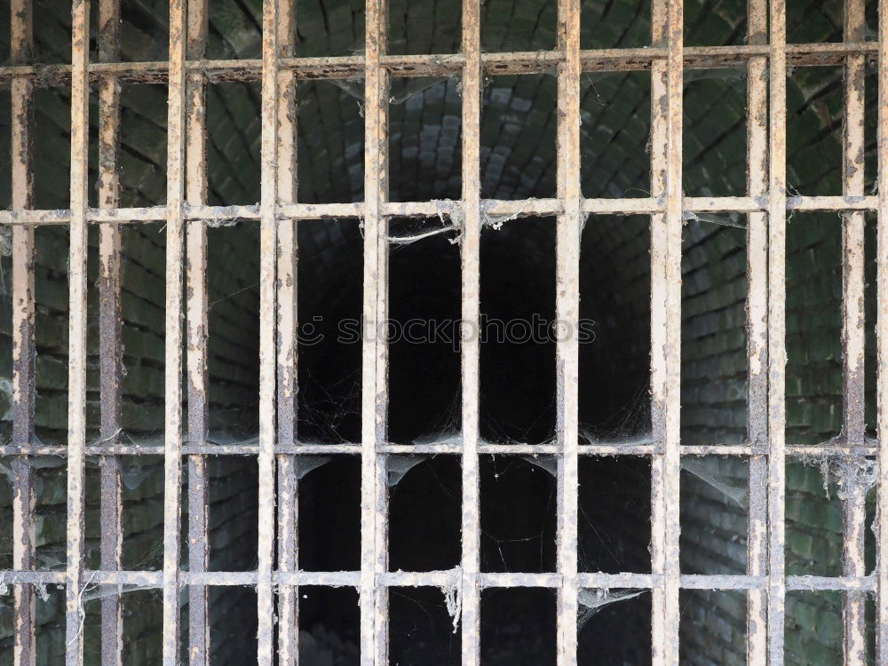 Similar – Foto Bild Lockruf Versuch ködern