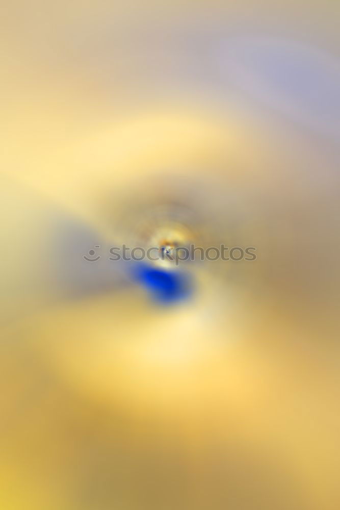Similar – Foto Bild zu tief ins bierglas geblickt