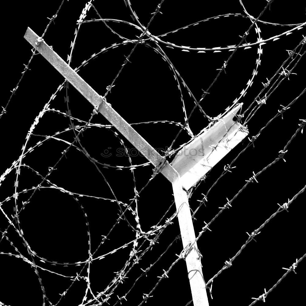 Similar – barbed wire Barbed wire