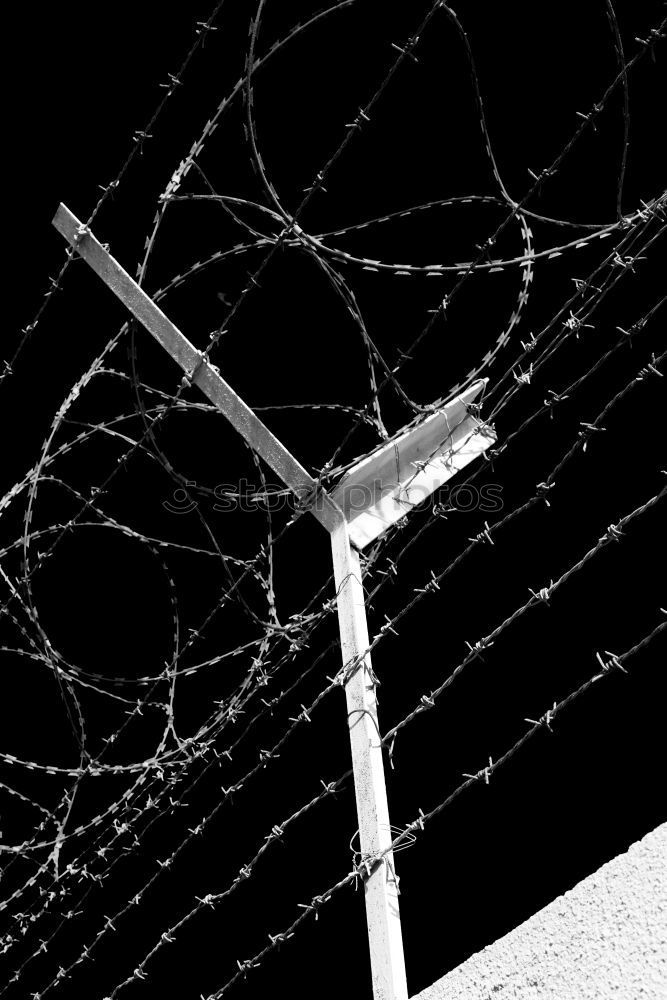 Similar – barbed wire Barbed wire