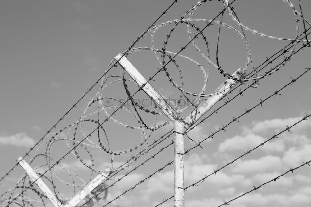 Similar – Prison security fence. Barbed wire security fence. Razor wire jail fence. Barrier border. Boundary security wall. Prison for arrest criminals or terrorists. Private area. Military zone concept.