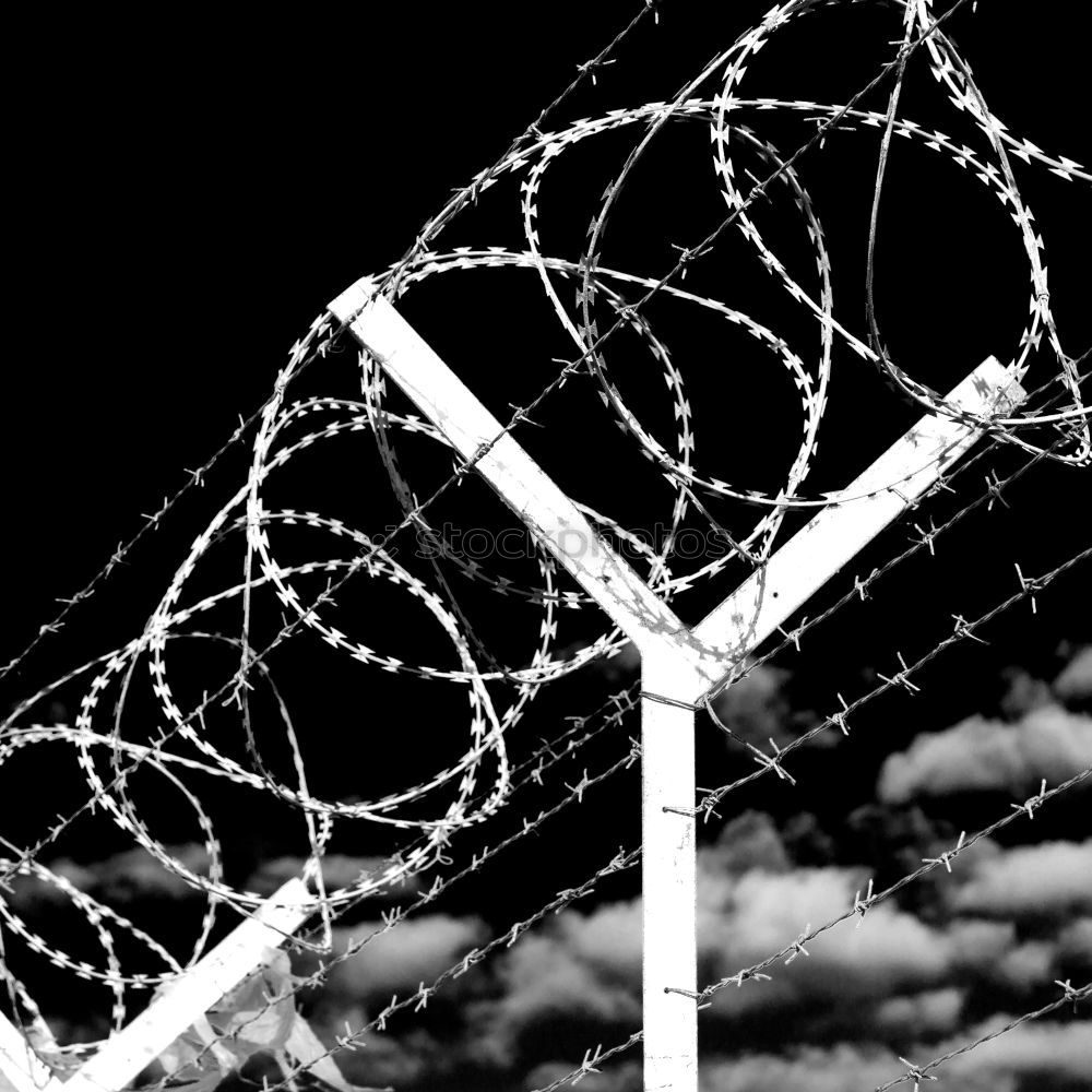 Similar – barbed wire Barbed wire