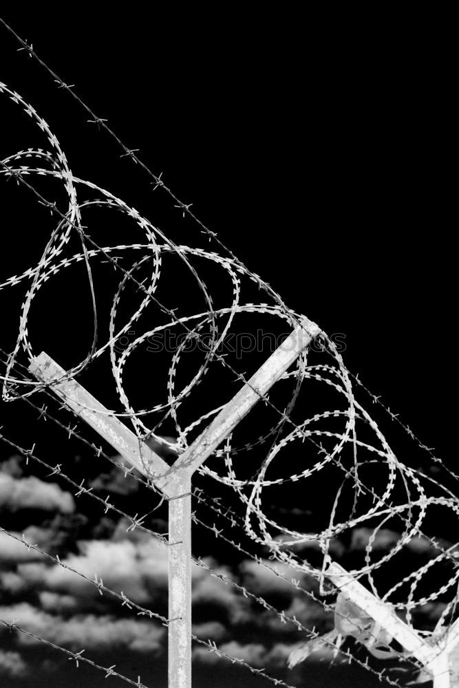 Similar – barbed wire Barbed wire