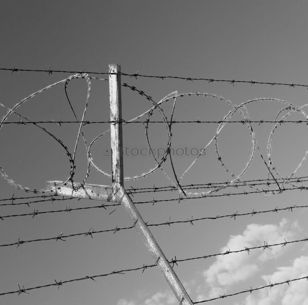 Similar – Razor Wire Fence Steel