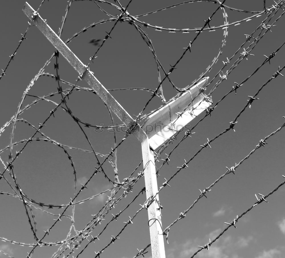 Image, Stock Photo barbed wire Penitentiary