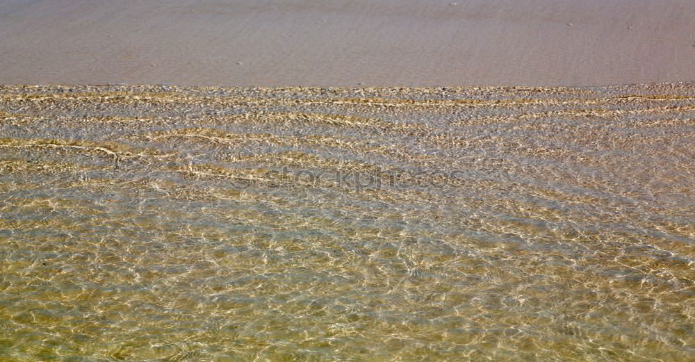 Similar – Image, Stock Photo Yo runs away at low tide