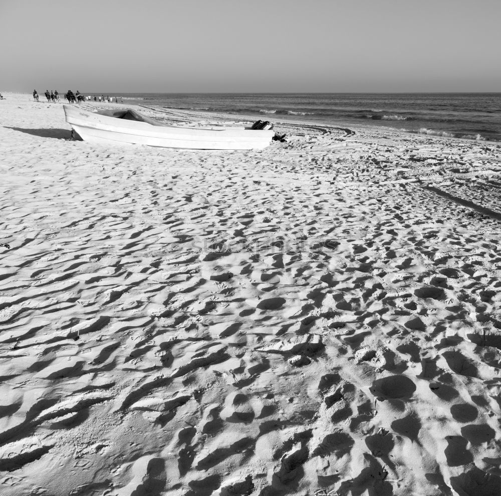 Similar – Image, Stock Photo cold coast Environment