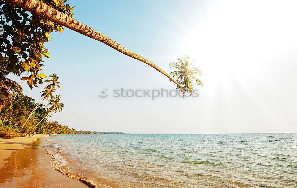 Similar – Foto Bild Seychellen Bucht Strand