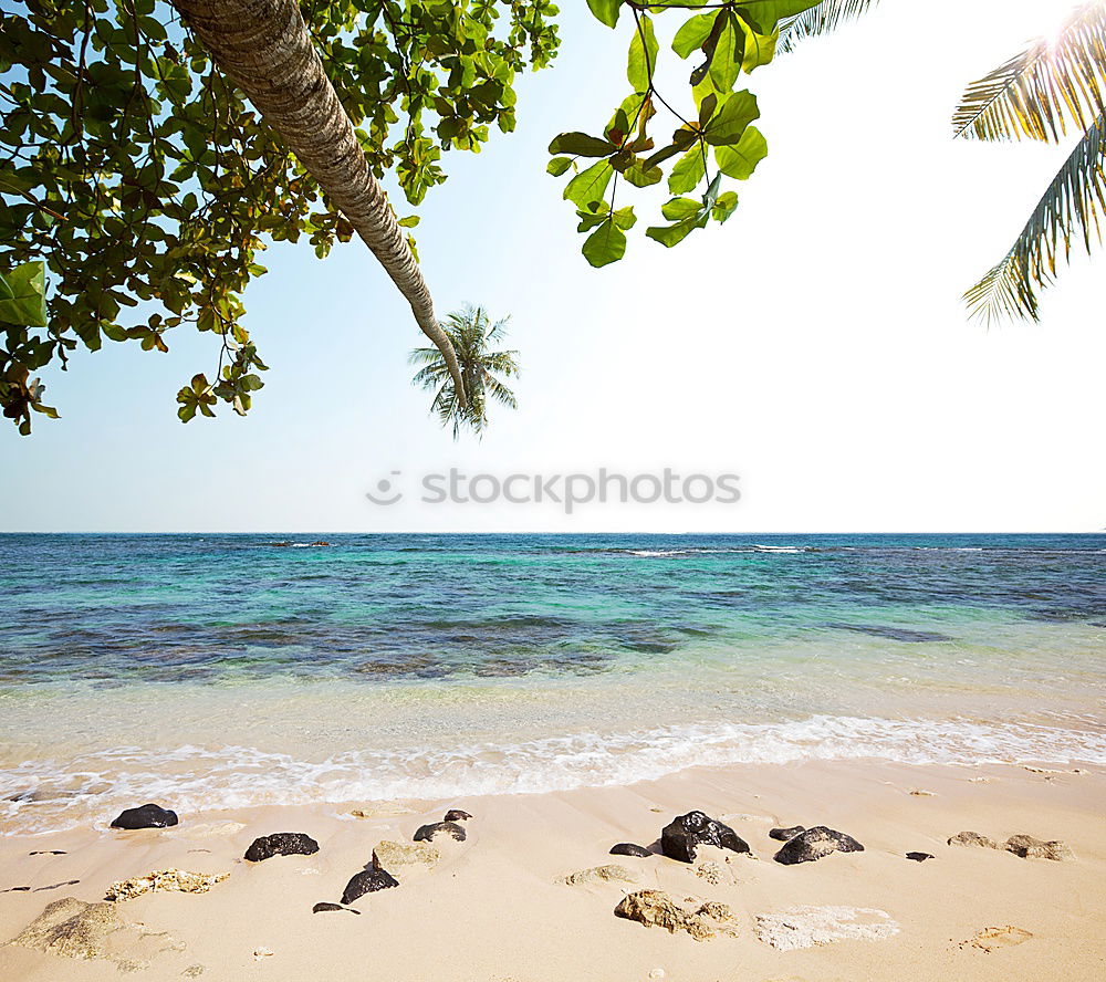 Similar – Image, Stock Photo beach view Beach Ocean