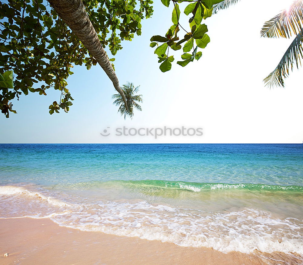 Similar – Image, Stock Photo beach view Beach Ocean