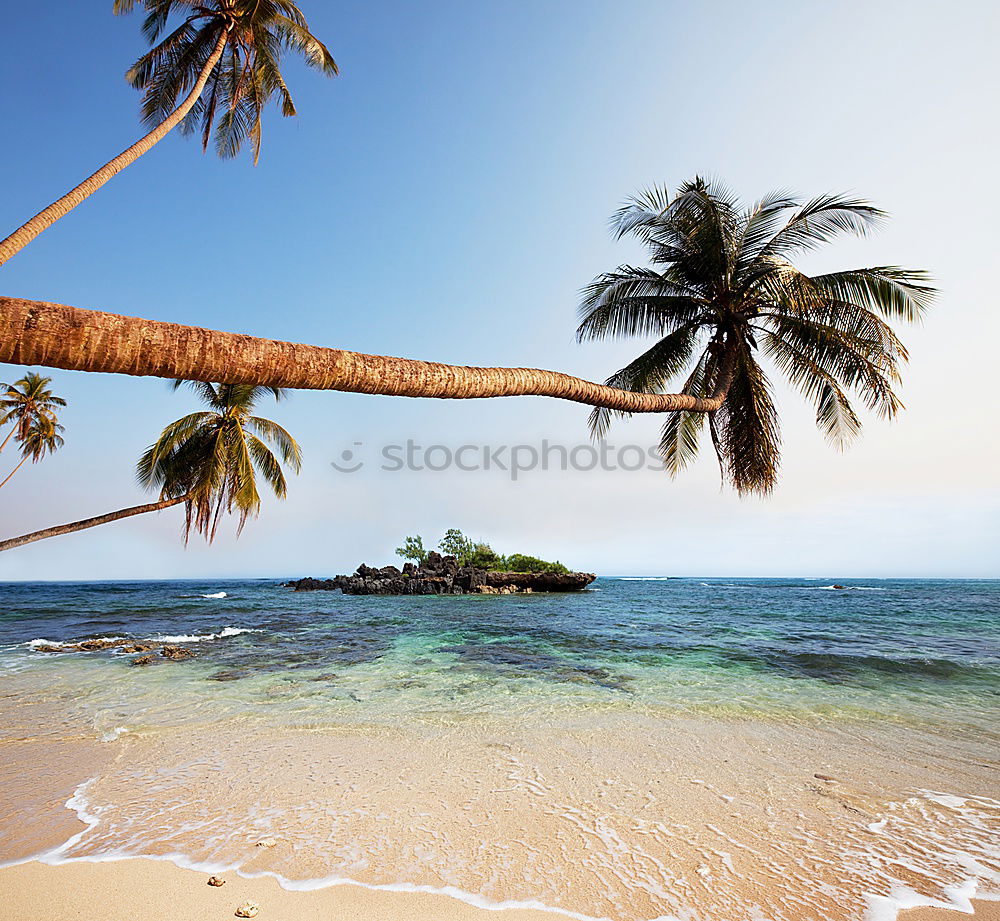 Similar – Image, Stock Photo twosome Vacation & Travel