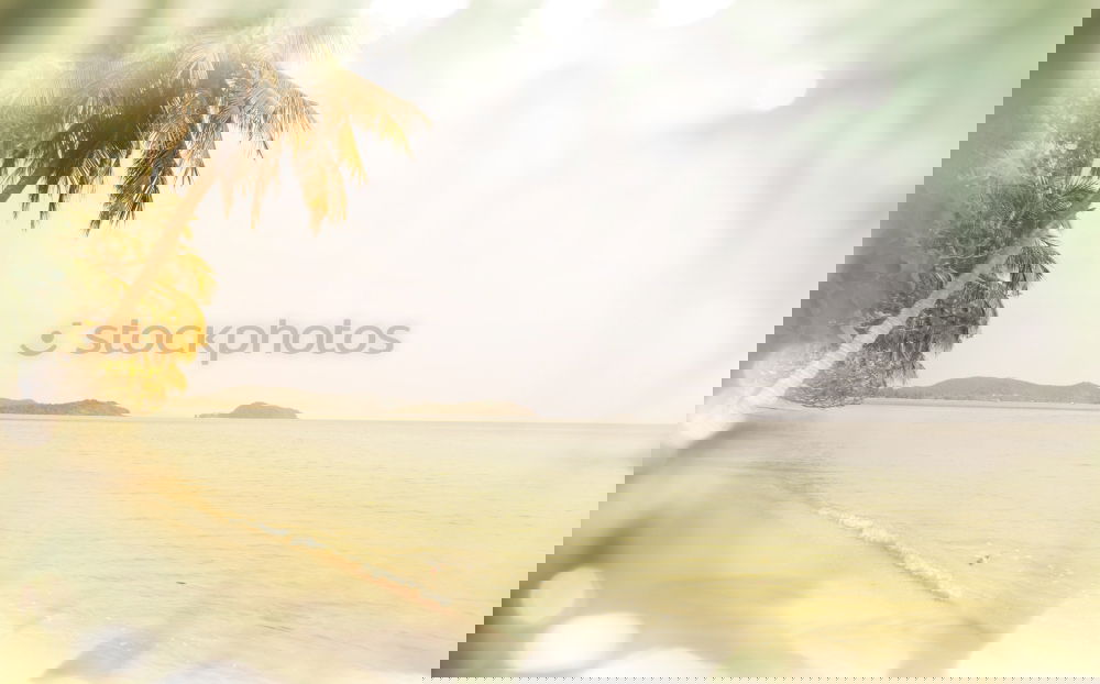 Similar – Image, Stock Photo Beaches Lifestyle