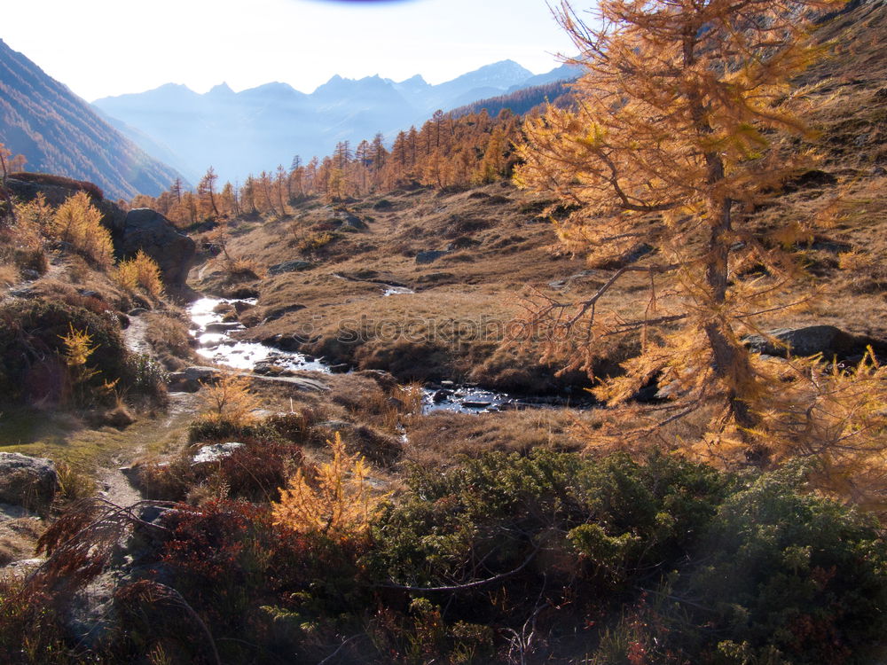 Similar – Herbst in den Bergen Natur