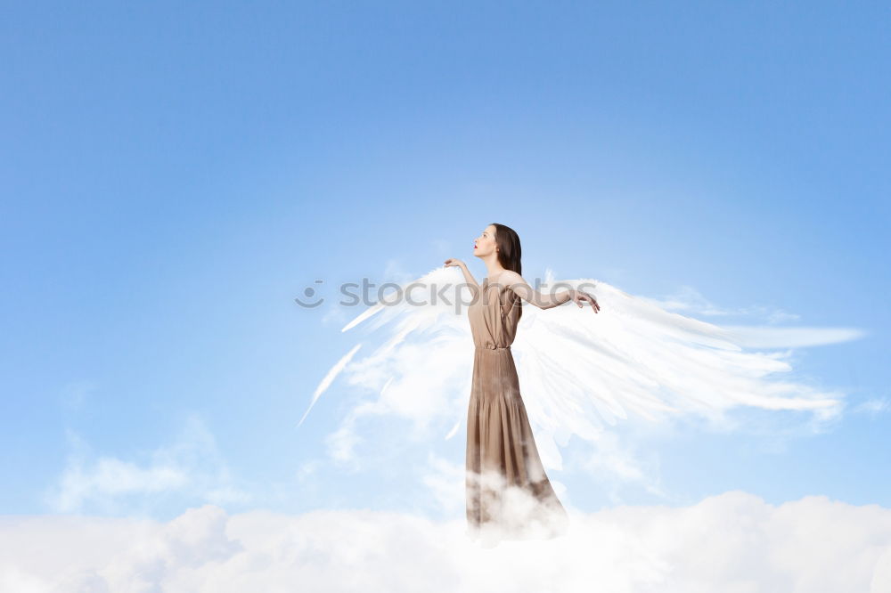 Similar – Image, Stock Photo kingdom of heaven