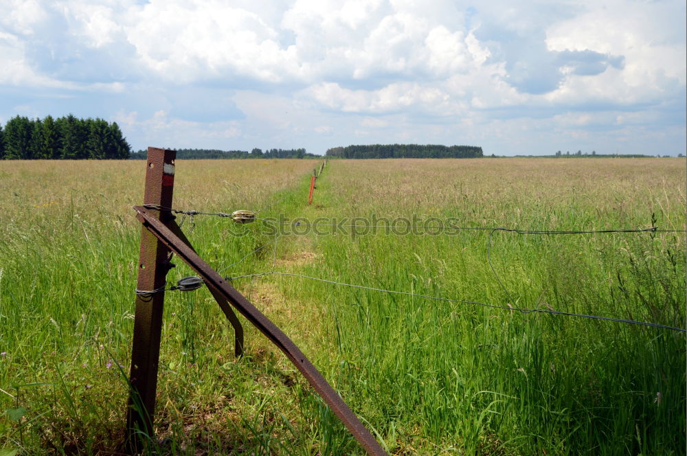 Similar – Watch your step! Power fence!