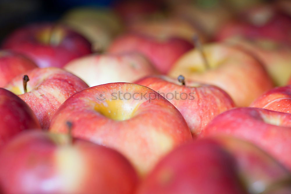 Similar – apple harvest Fruit Apple