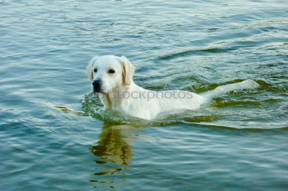 Similar – Foto Bild Augen zu und durch Meer