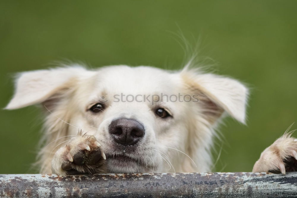 Similar – Image, Stock Photo Feeding Hand Fingers