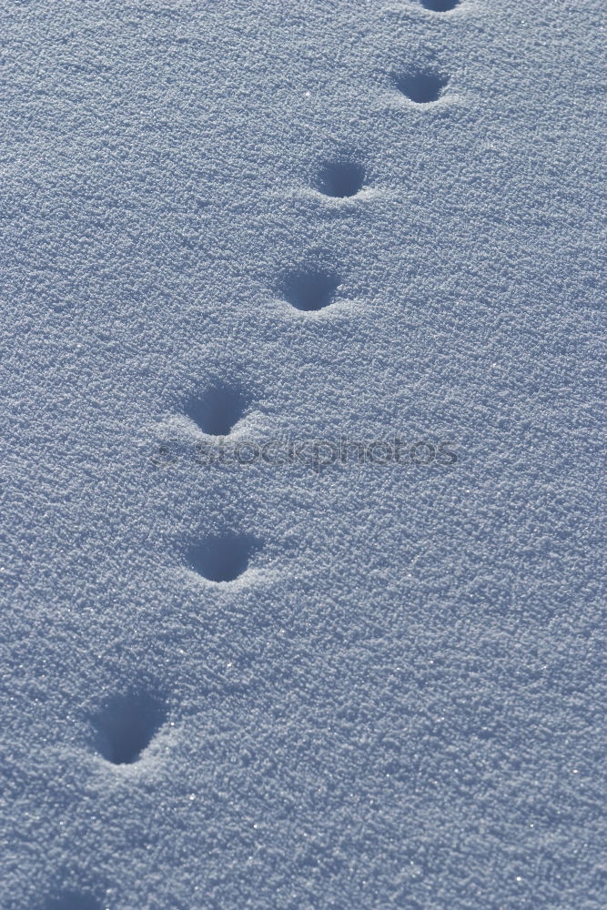 Similar – in twos Barefoot Catwalk