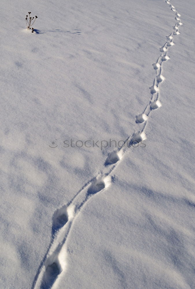 Die dritte Spur Skifahren