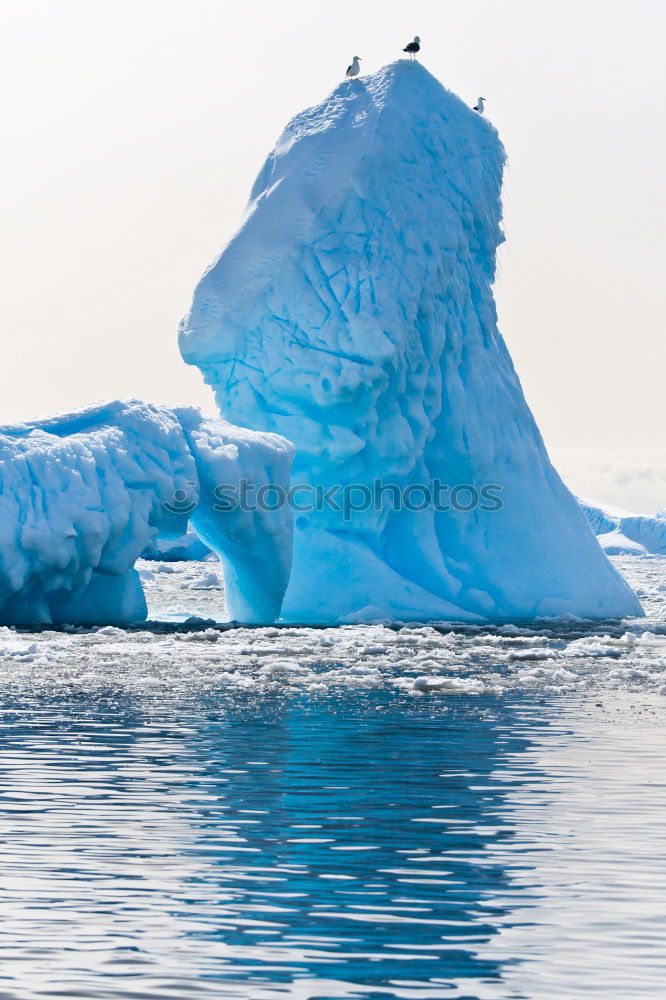 Similar – Snowfall and cruise liner among blue icebergs in Port Charcot