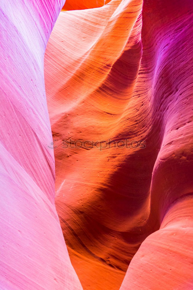 Similar – Image, Stock Photo light beams Nature