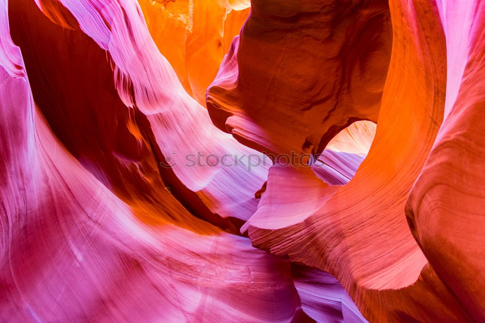 Similar – Image, Stock Photo light beams Nature