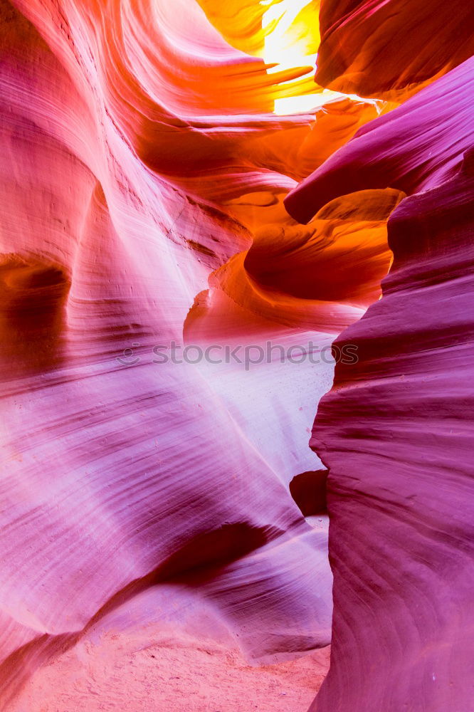 Similar – Image, Stock Photo light beams Nature