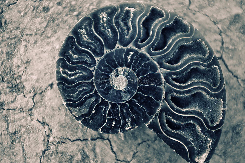 Similar – Old heart shaped door lock on a blue wooden door