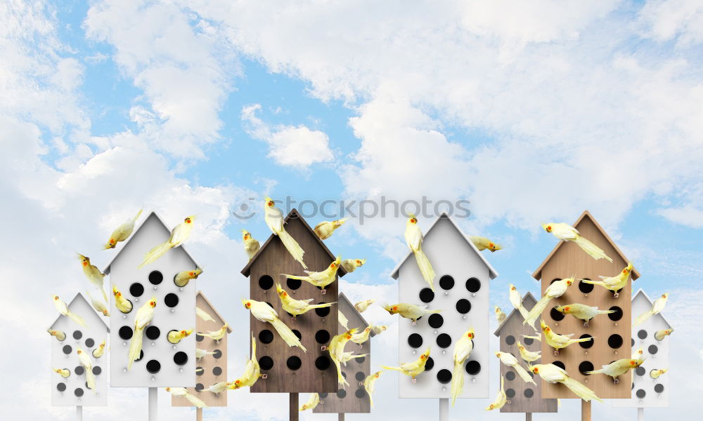 Similar – Image, Stock Photo Facade of residential building Brighton, England