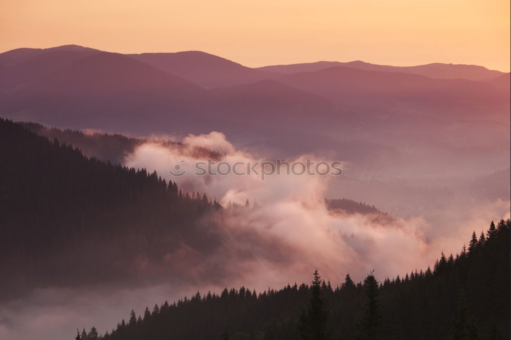 Similar – Beautiful morning for a hike