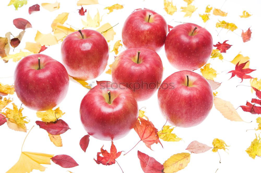 Similar – Image, Stock Photo the last apples of the year