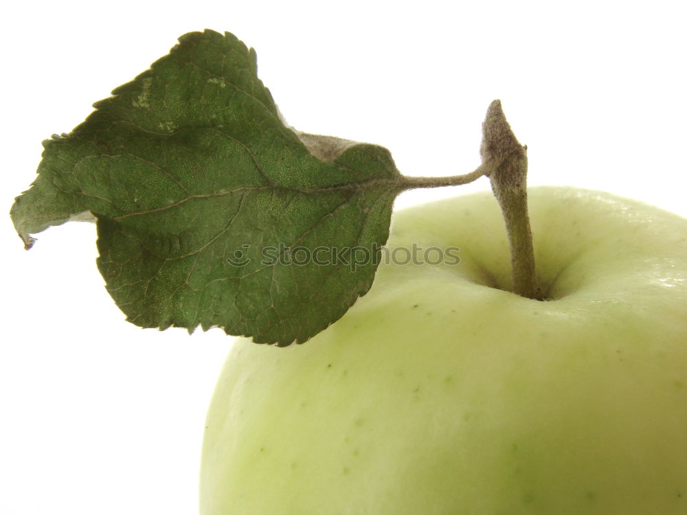 Similar – Image, Stock Photo The apple itself Green