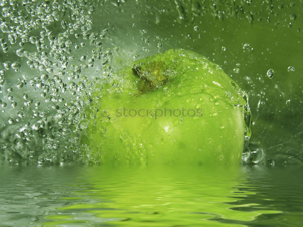 Image, Stock Photo Legs meadow cloth Bledda