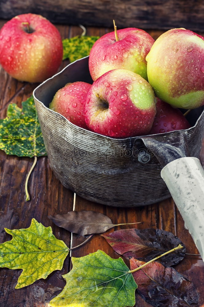 Similar – Image, Stock Photo ripe red apples Fruit