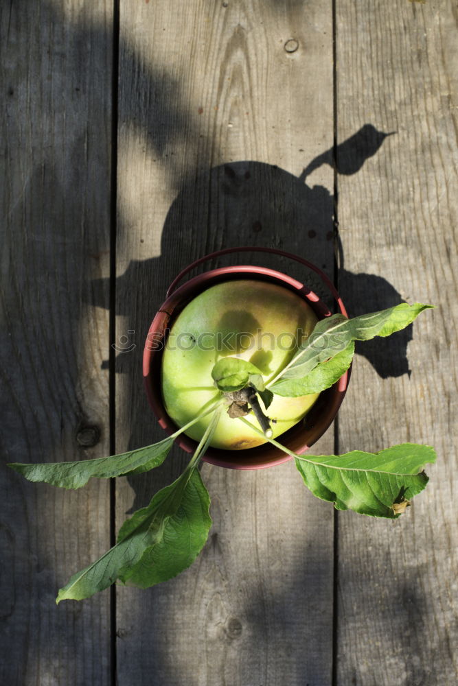 Similar – Apple on wooden floor