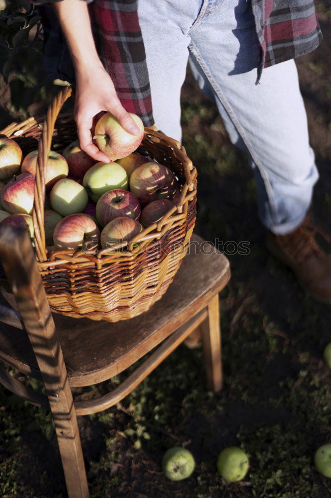 Similar – Image, Stock Photo of hunters and gatherers