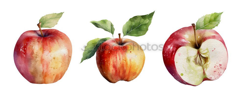 Similar – bitten apple Red Fresh