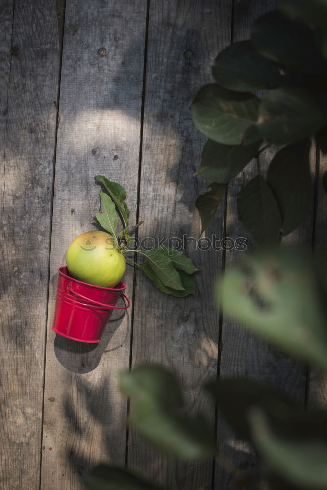 Apple on wooden floor