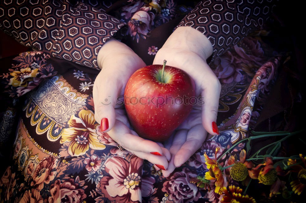 Similar – Image, Stock Photo Young retro woman holding persimmons