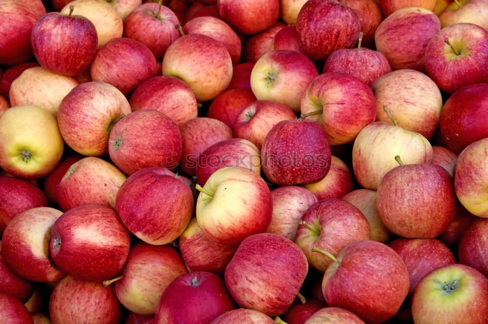 Similar – Image, Stock Photo Apricots 1 Fruit basket