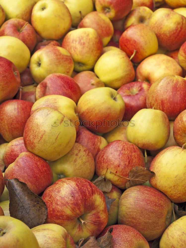 Image, Stock Photo Apricots 1 Fruit basket