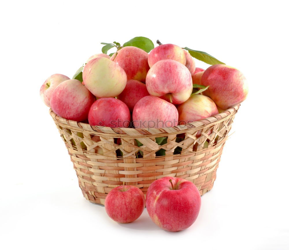 Similar – Image, Stock Photo Apple harvest in autumn garden