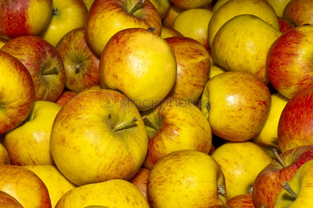 Similar – Image, Stock Photo Apricots 1 Fruit basket