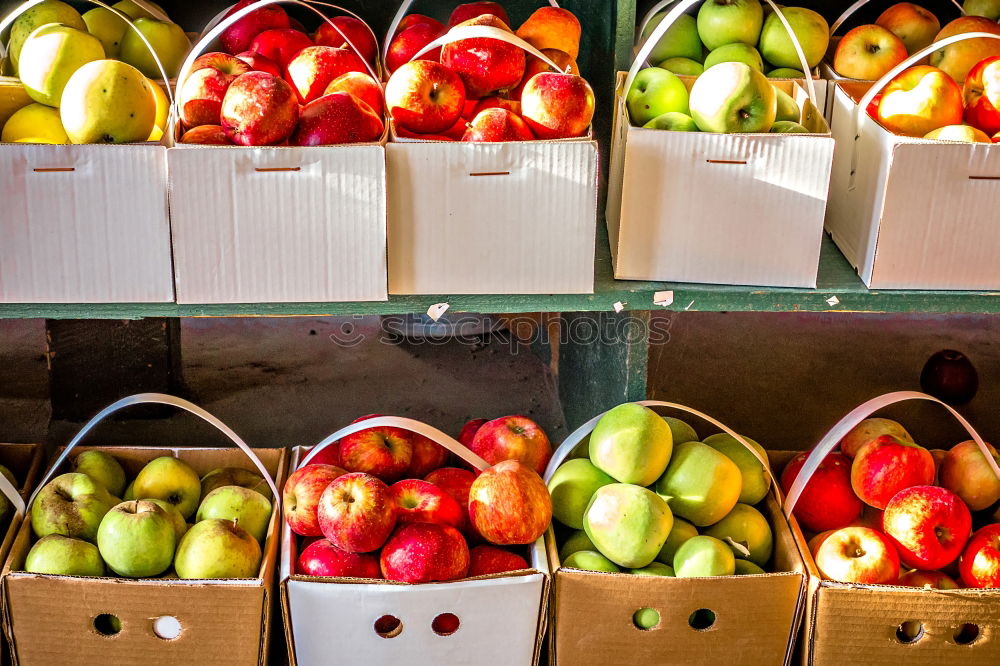 Similar – Image, Stock Photo Beautiful woman choosing apples in supermarket.