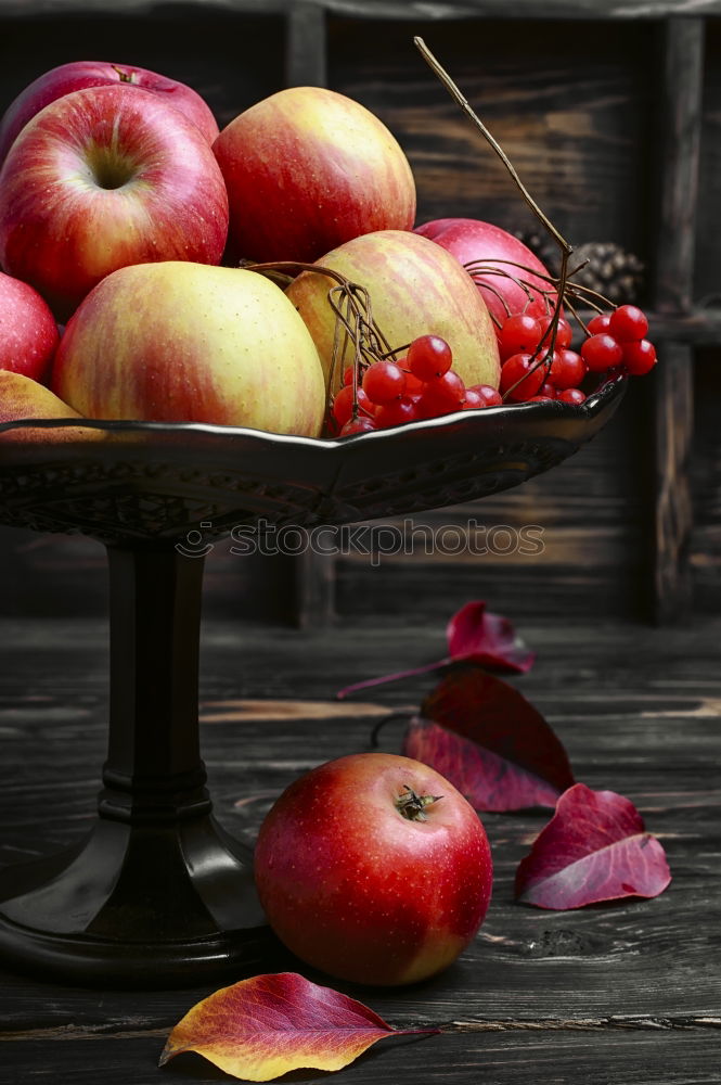 Similar – Image, Stock Photo the last apples of the year