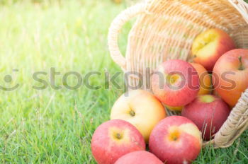 Similar – apple boxes Food Fruit