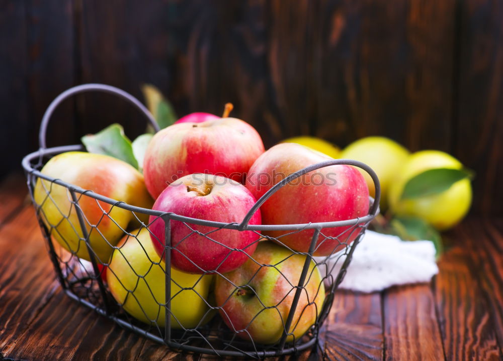 Similar – Apple harvest Gardening