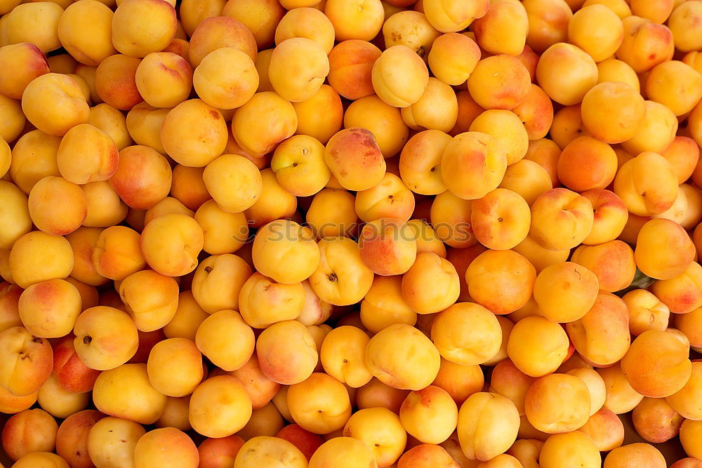 Similar – mandarins Exotic Fruit