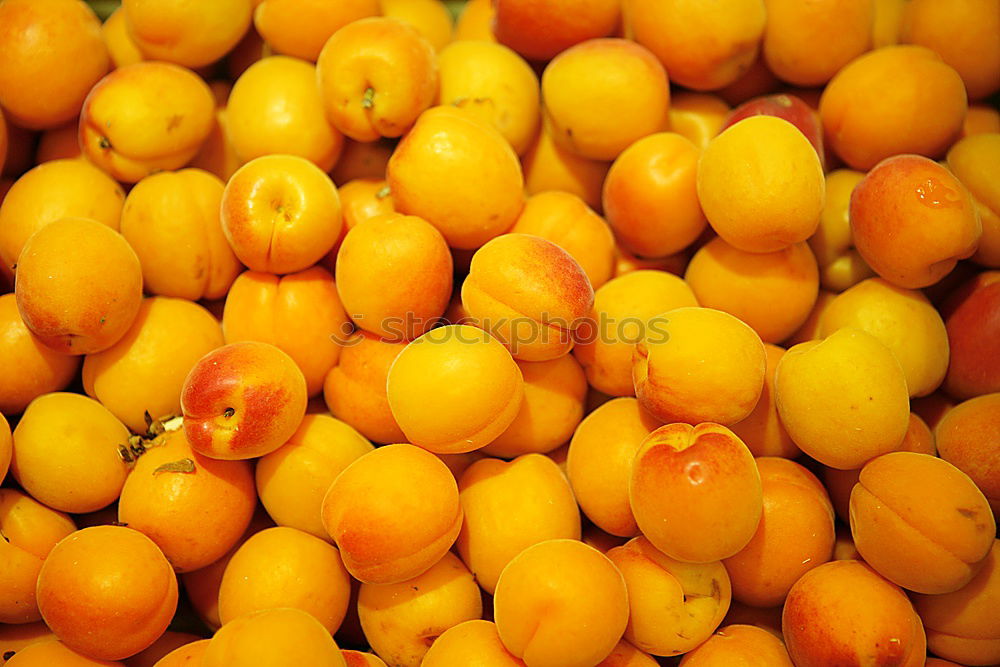 Similar – mandarins Exotic Fruit